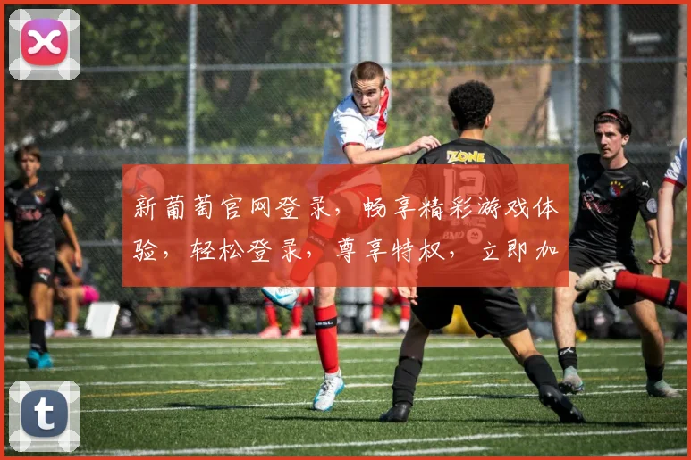 新葡萄官网登录，畅享精彩游戏体验，轻松登录，尊享特权，立即加入